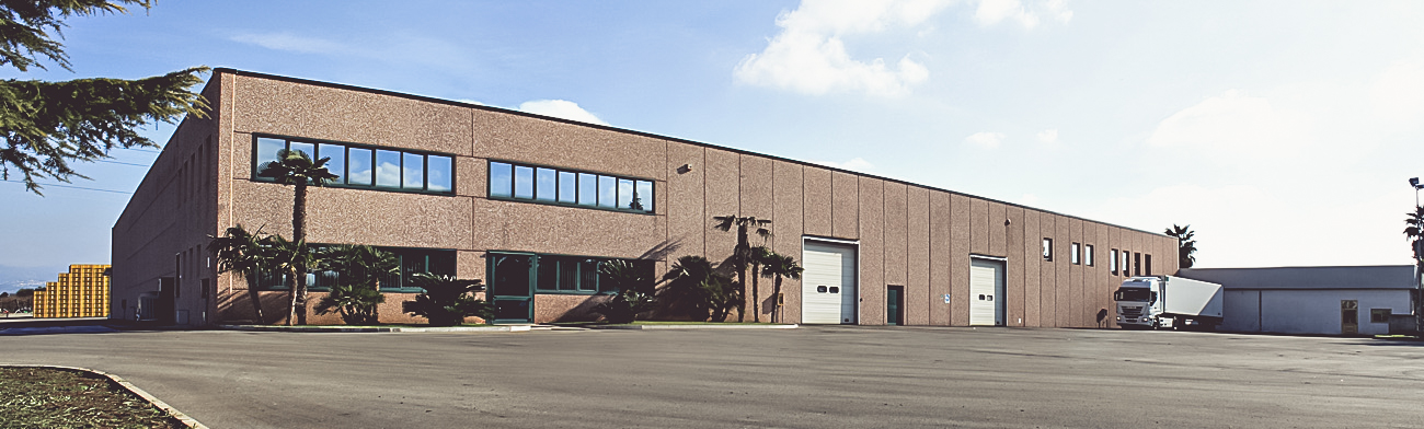 Camion refrigerato per spedizioni via terra