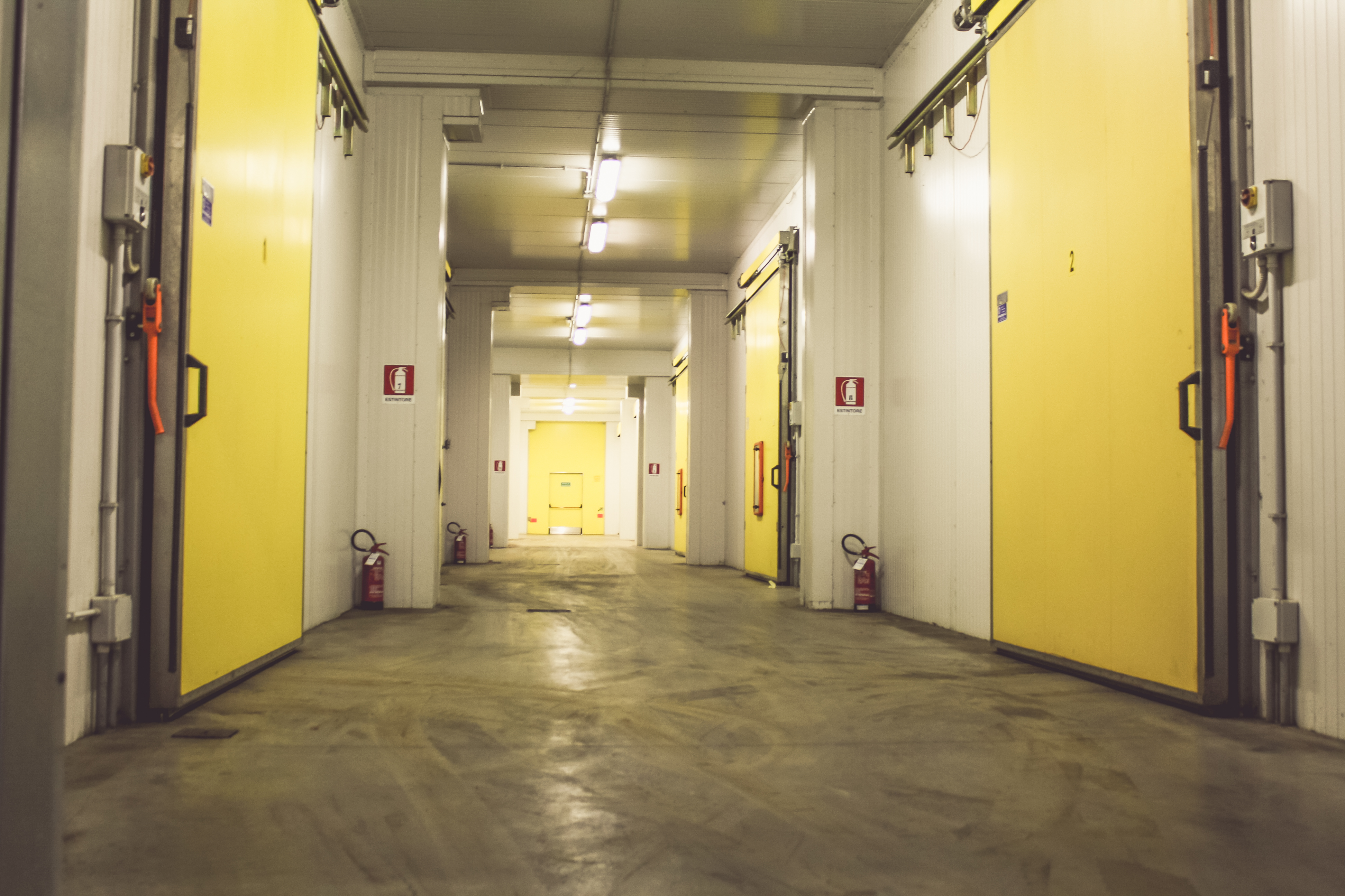 Magazzino e stoccaggio Agrilepidio