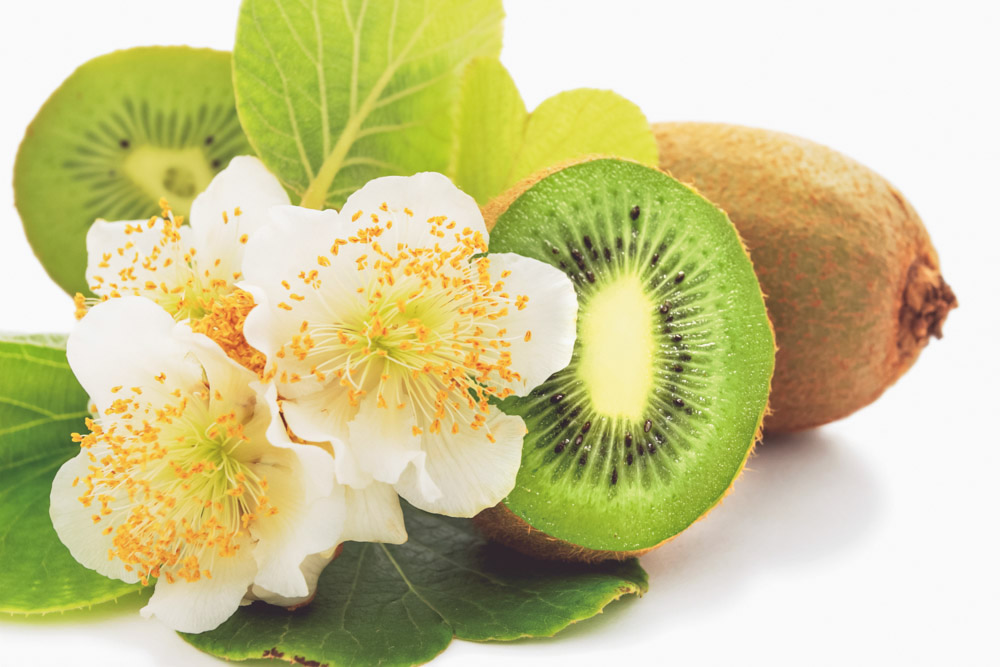 Fiori di kiwi