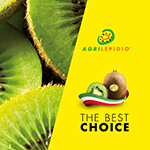 Brochure Agrilepidio