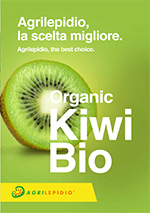 Controllo qualità nei kiwi